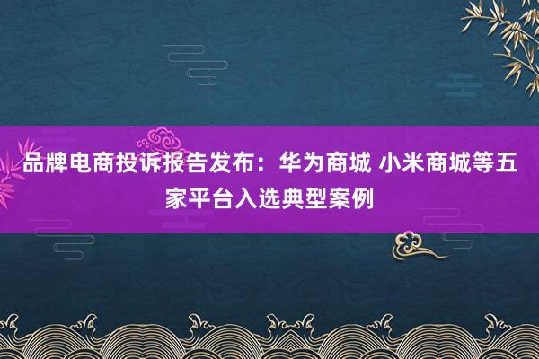 品牌电商投诉报告发布：华为商城 小米商城等五家平台入选典型案例