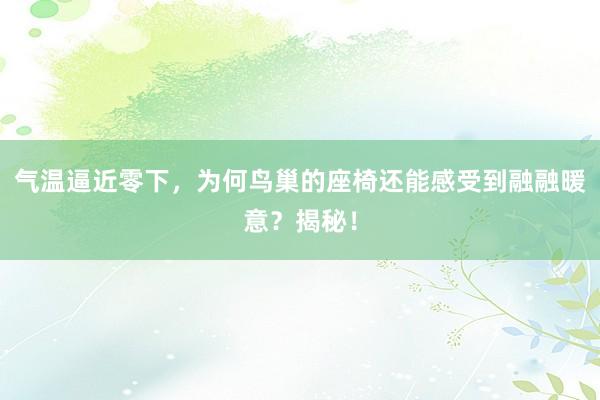 气温逼近零下，为何鸟巢的座椅还能感受到融融暖意？揭秘！