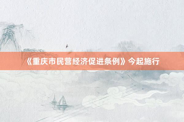 《重庆市民营经济促进条例》今起施行