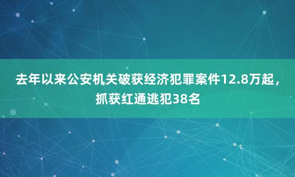 去年以来公安机关破获经济犯罪案件12.8万起，抓获红通逃犯38名
