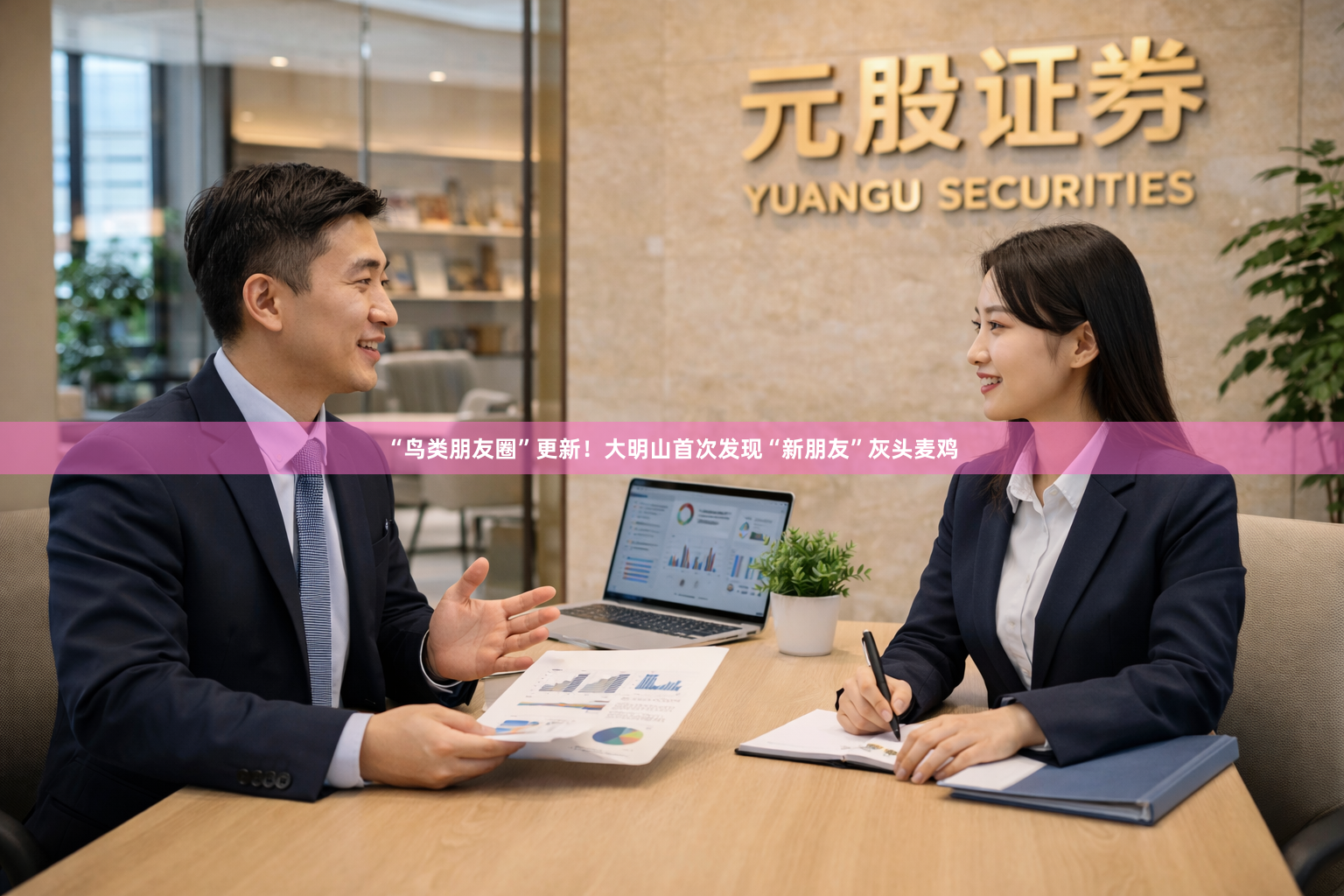 “鸟类朋友圈”更新！大明山首次发现“新朋友”灰头麦鸡