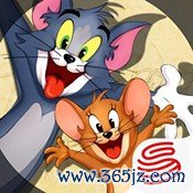 猫和老鼠