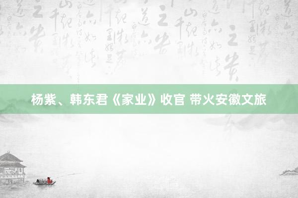 杨紫、韩东君《家业》收官 带火安徽文旅
