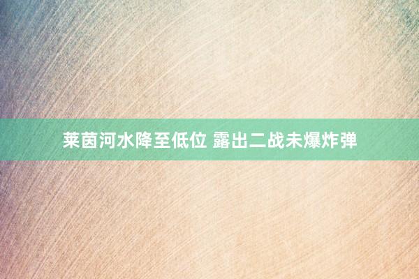 莱茵河水降至低位 露出二战未爆炸弹