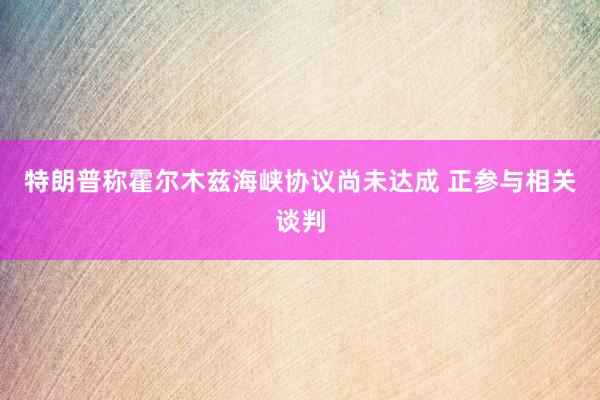 特朗普称霍尔木兹海峡协议尚未达成 正参与相关谈判