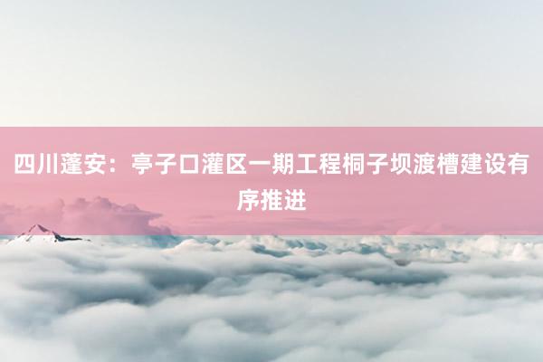 四川蓬安：亭子口灌区一期工程桐子坝渡槽建设有序推进