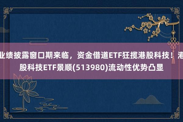 业绩披露窗口期来临，资金借道ETF狂揽港股科技！港股科技ETF景顺(513980)流动性优势凸显