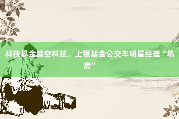 科技基金踏空科技，上银基金公交车明星经理“塌房”