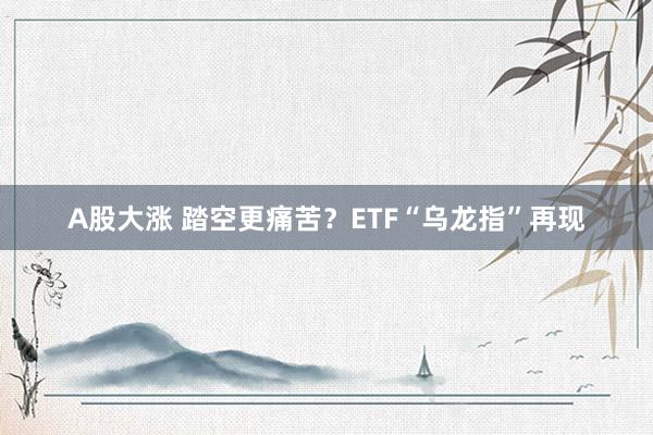 A股大涨 踏空更痛苦？ETF“乌龙指”再现