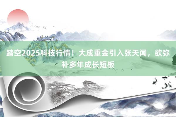 踏空2025科技行情！大成重金引入张天闻，欲弥补多年成长短板
