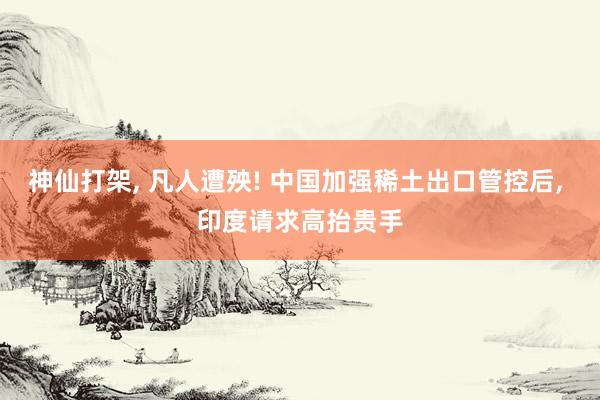 神仙打架, 凡人遭殃! 中国加强稀土出口管控后, 印度请求高抬贵手
