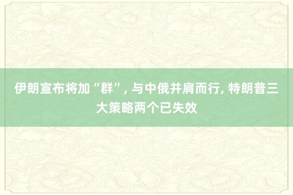伊朗宣布将加“群”, 与中俄并肩而行, 特朗普三大策略两个已失效