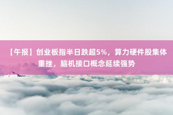 【午报】创业板指半日跌超5%，算力硬件股集体重挫，脑机接口概念延续强势
