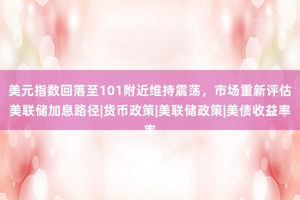 美元指数回落至101附近维持震荡，市场重新评估美联储加息路径|货币政策|美联储政策|美债收益率