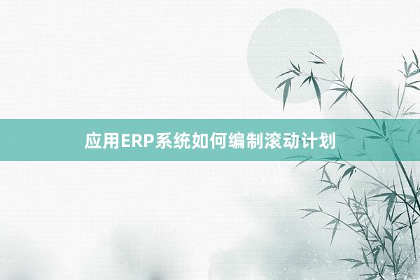 应用ERP系统如何编制滚动计划