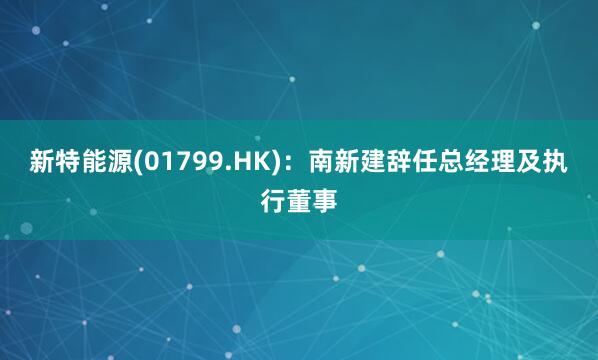新特能源(01799.HK)：南新建辞任总经理及执行董事
