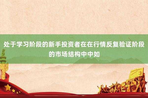 处于学习阶段的新手投资者在在行情反复验证阶段的市场结构中中如