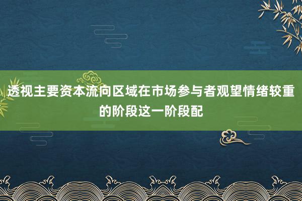 透视主要资本流向区域在市场参与者观望情绪较重的阶段这一阶段配