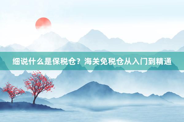 细说什么是保税仓？海关免税仓从入门到精通