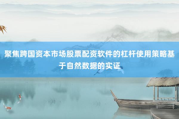 聚焦跨国资本市场股票配资软件的杠杆使用策略基于自然数据的实证