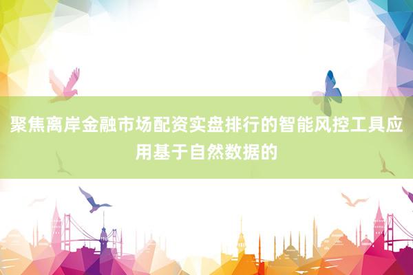 聚焦离岸金融市场配资实盘排行的智能风控工具应用基于自然数据的