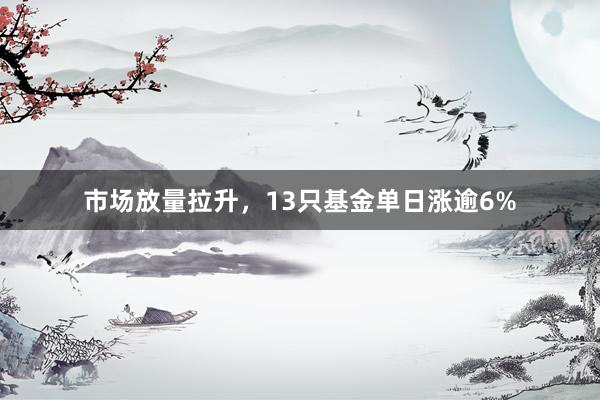 市场放量拉升，13只基金单日涨逾6%