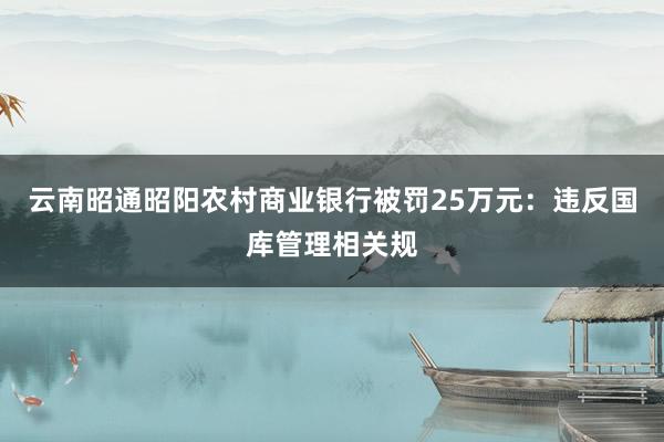 云南昭通昭阳农村商业银行被罚25万元：违反国库管理相关规
