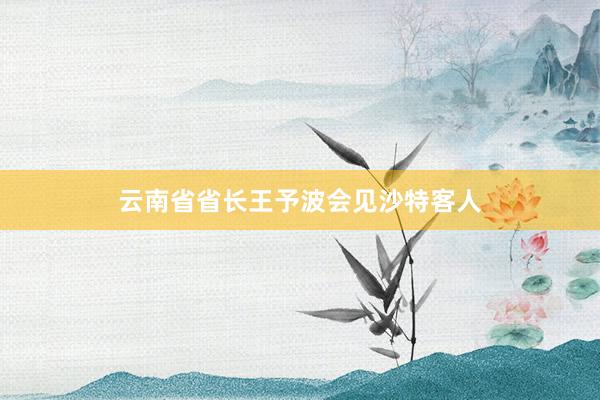 云南省省长王予波会见沙特客人