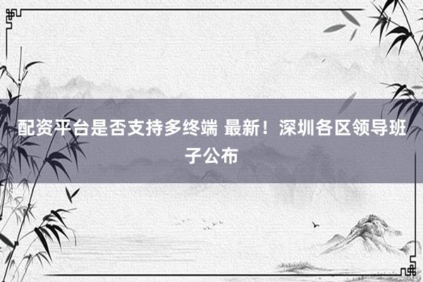 配资平台是否支持多终端 最新！深圳各区领导班子公布