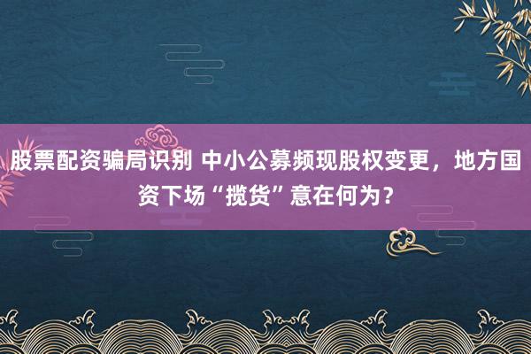 股票配资骗局识别 中小公募频现股权变更，地方国资下场“揽货”意在何为？