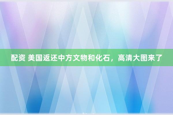 配资 美国返还中方文物和化石，高清大图来了