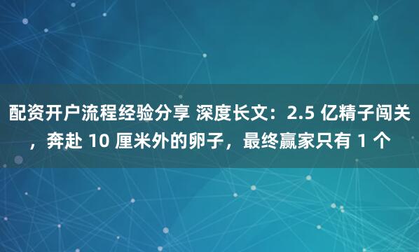 配资开户流程经验分享 深度长文：2.5 亿精子闯关，奔赴 10 厘米外的卵子，最终赢家只有 1 个