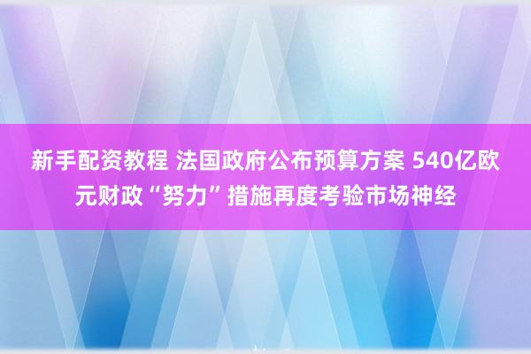 新手配资教程 法国政府公布预算方案 540亿欧元财政“努力”措施再度考验市场神经