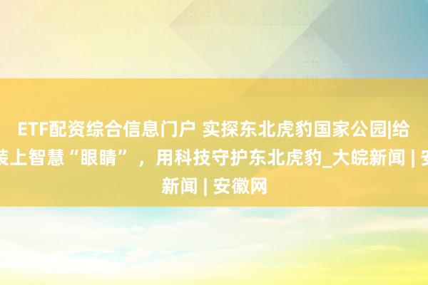 ETF配资综合信息门户 实探东北虎豹国家公园|给林海装上智慧“眼睛” ，用科技守护东北虎豹_大皖新闻 | 安徽网