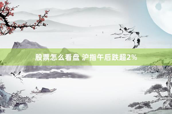 股票怎么看盘 沪指午后跌超2%