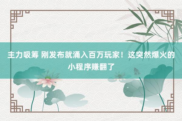 主力吸筹 刚发布就涌入百万玩家！这突然爆火的小程序赚翻了