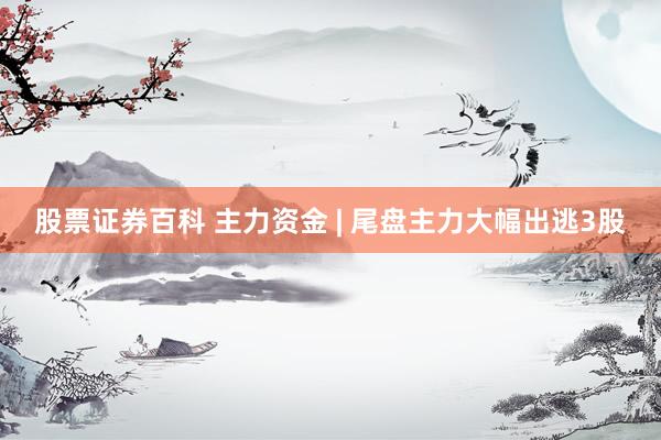 股票证券百科 主力资金 | 尾盘主力大幅出逃3股